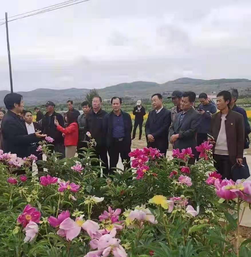 微信图片_202106211019401.jpg