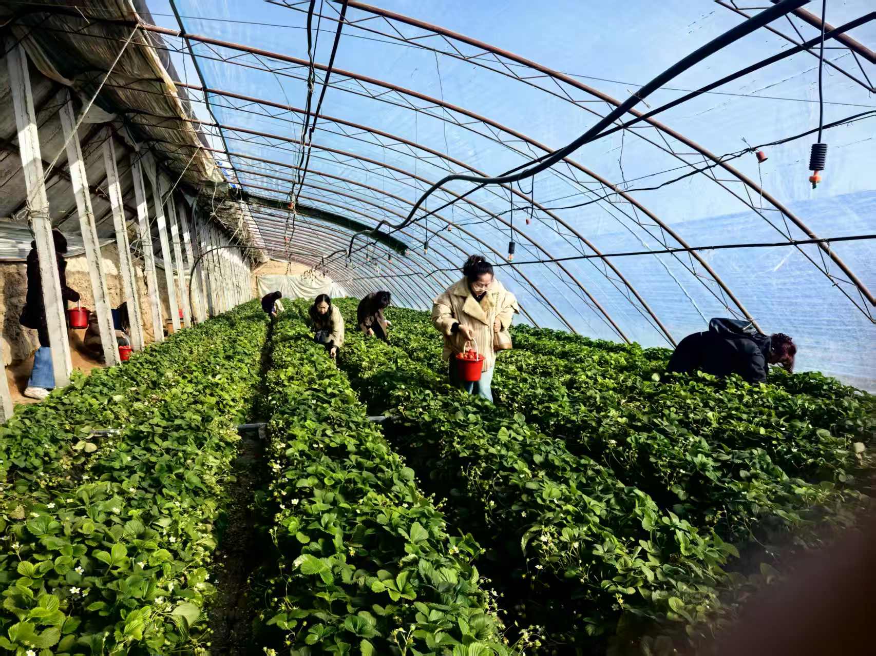 微信图片_20260310161416.jpg 微信图片_20260310161416.jpg