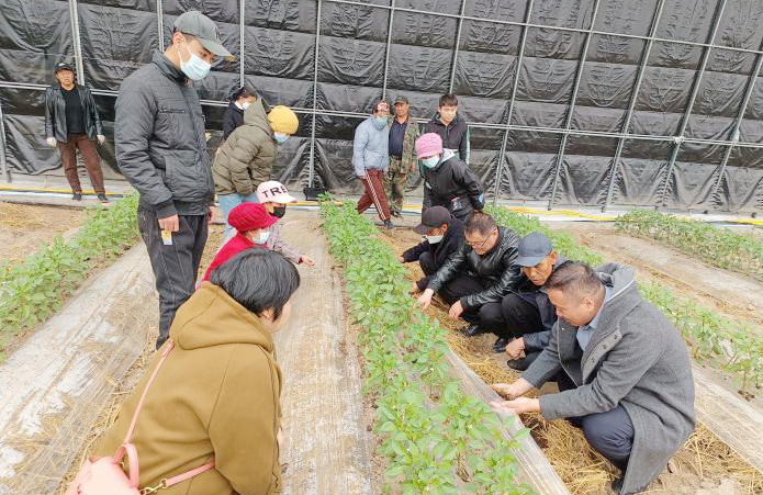 图片11.png 图片11.png