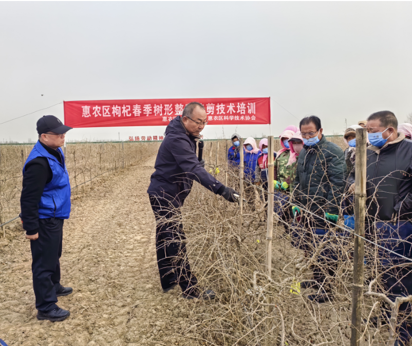 图片12.png 图片12.png