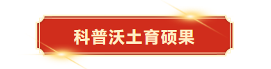 01.png