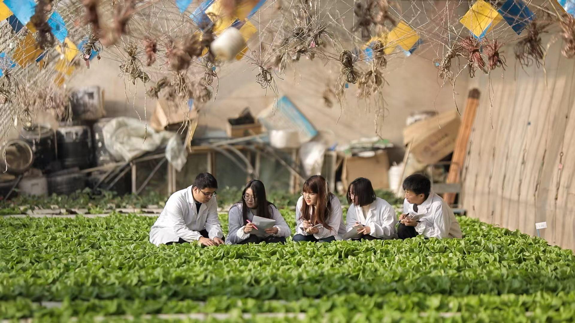 红寺堡瓜菜科技小院首席专家吴龙国正在授课.jpg 红寺堡瓜菜科技小院首席专家吴龙国正在授课.jpg