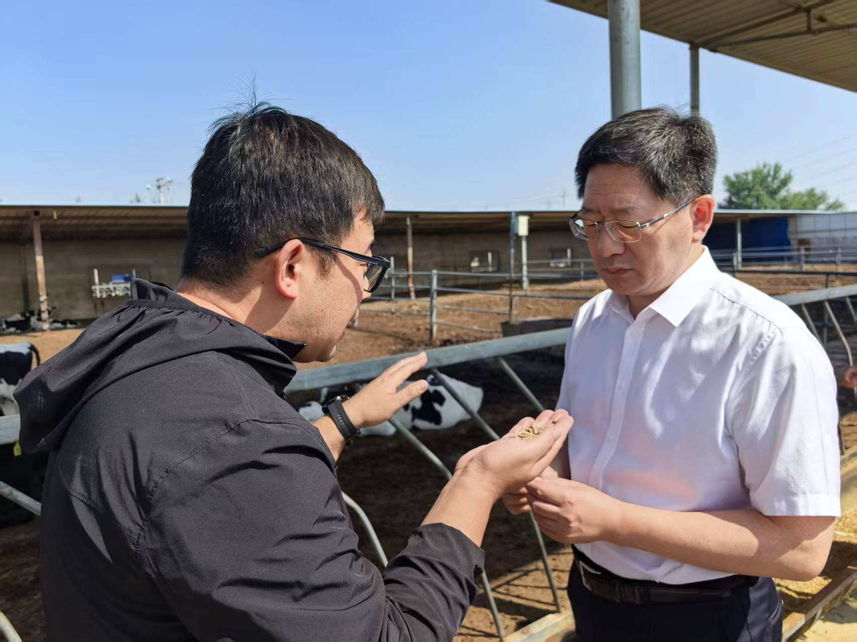 向豫书记调研科技小院照片01.jpg