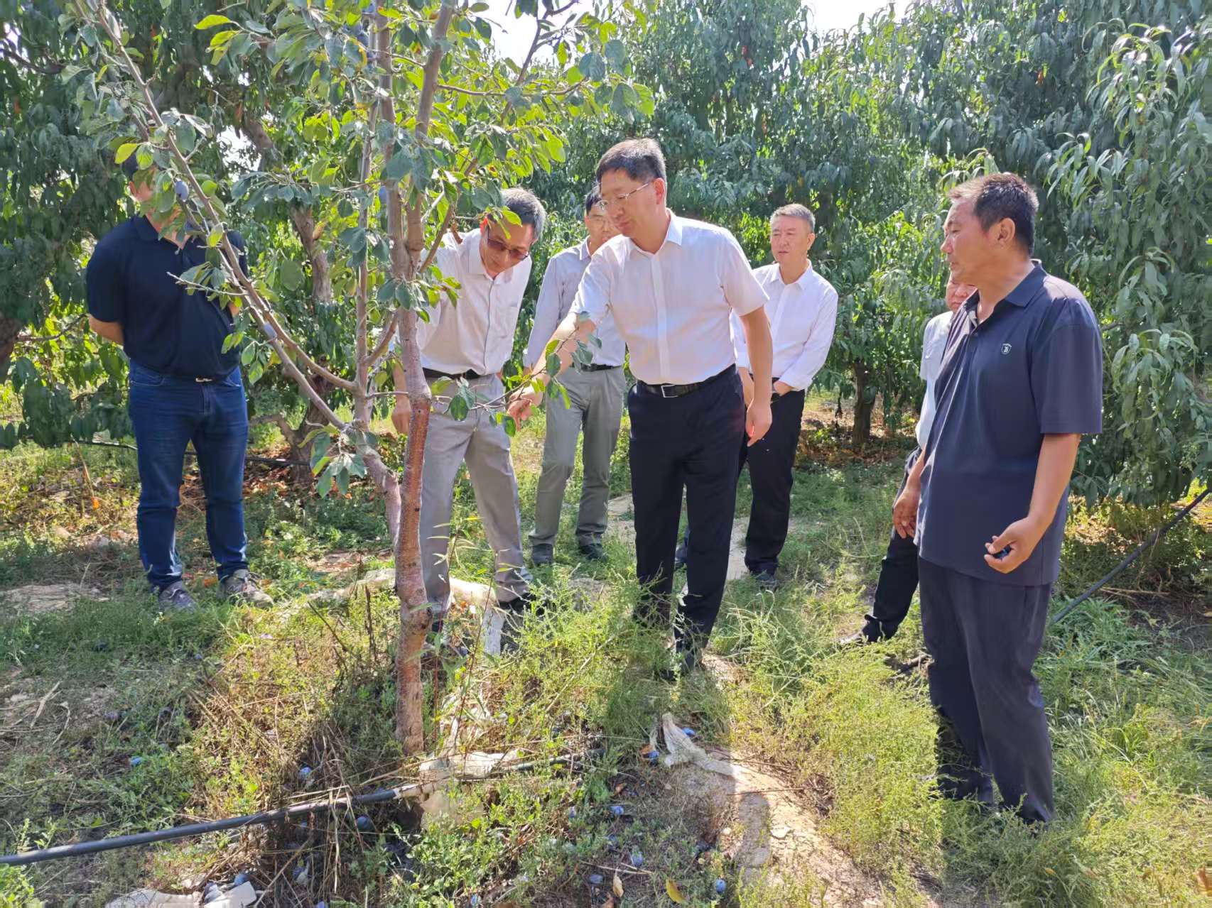 向豫书记调研科技小院照片02.jpg